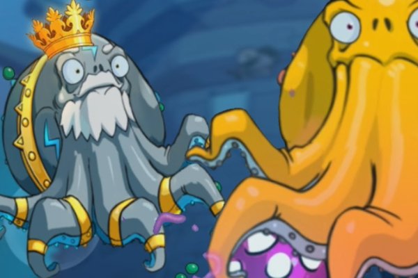 Kraken 19 at