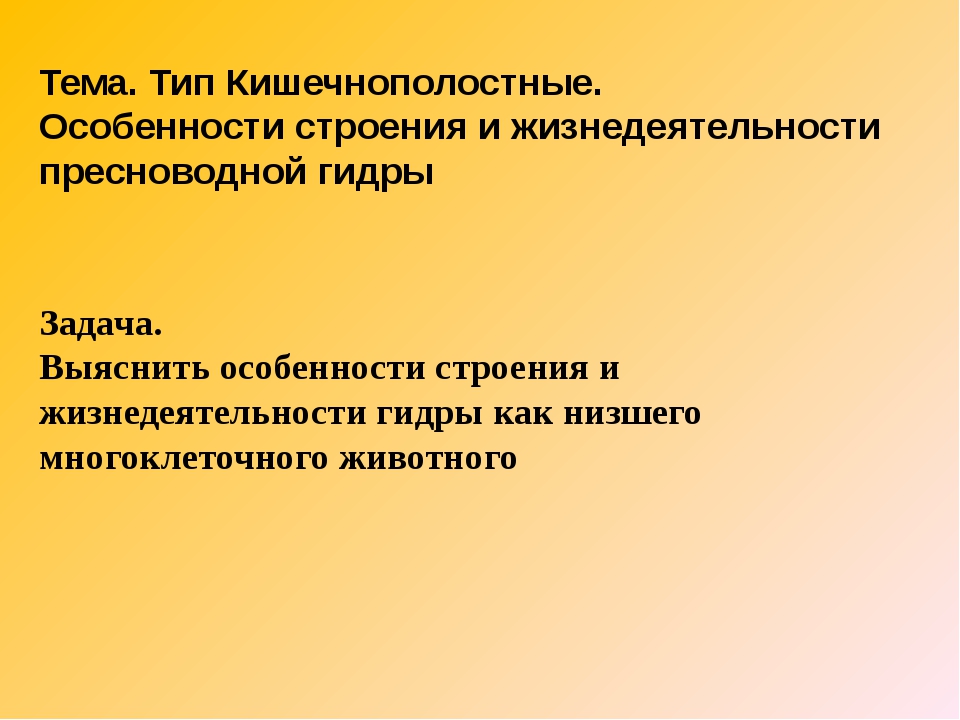 Кракен сайт закладок