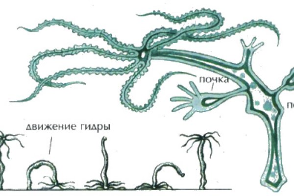 Заказать даркнет