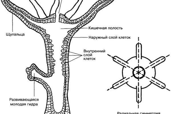 Кракен даркнет аккаунт