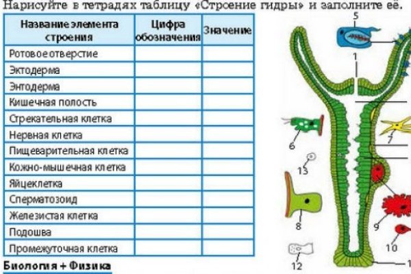 Кракен зайти зеркало