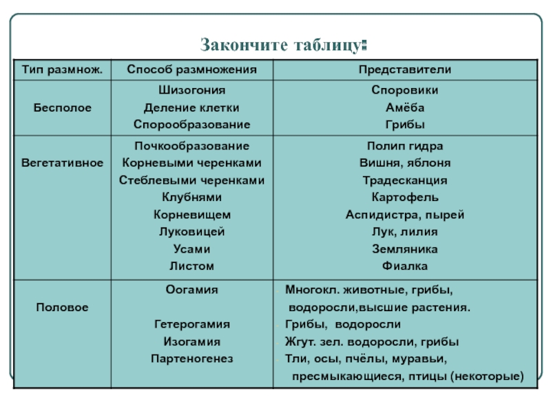 Аналог hydra