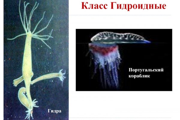 Кракен ссылка онлайн
