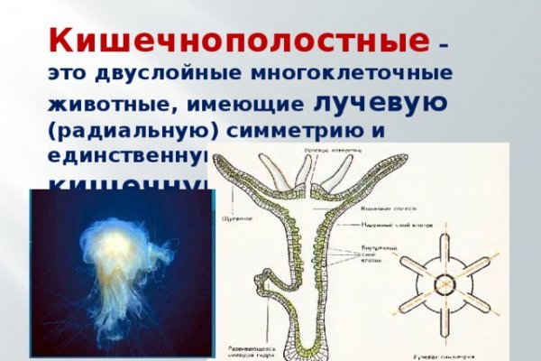 Кракен зеркало 2025