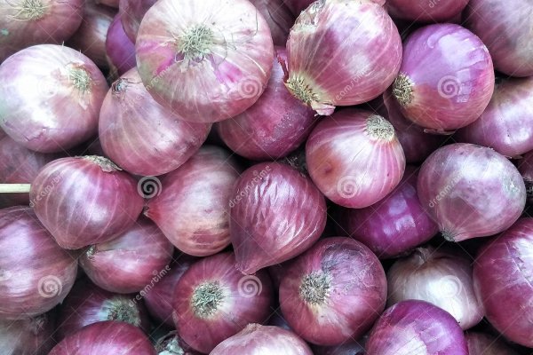 Kraken tor onion зеркало