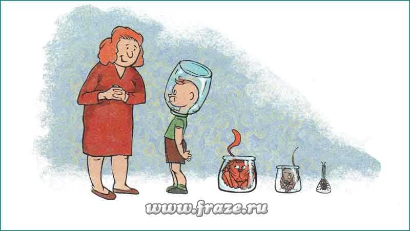 Кракен закладки