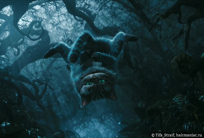 Kraken cc